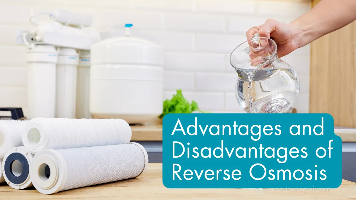Advantages and Disadvantages of Reverse Osmosis