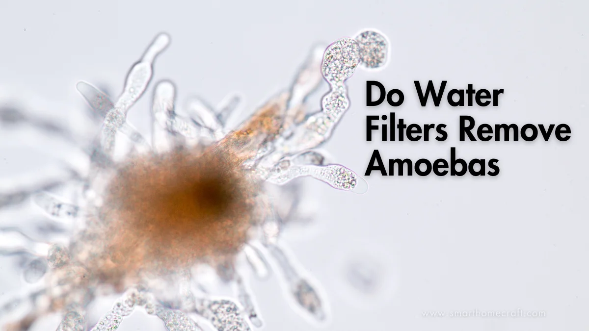 Do Water Filters Remove Amoebas